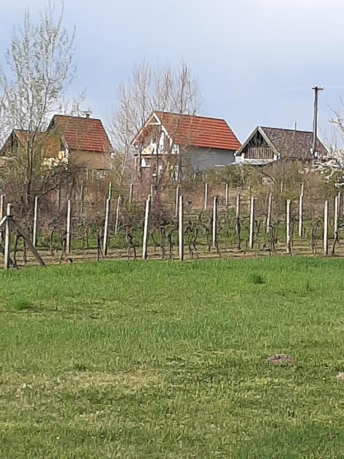 Grapeline Guesthouse Chotin Exterior photo